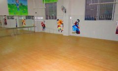 廣州番禺區東沙幼兒園舞蹈室pvc運動地板