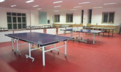 甘肅蘭州玉門市乒乓球館pvc塑膠運動地板